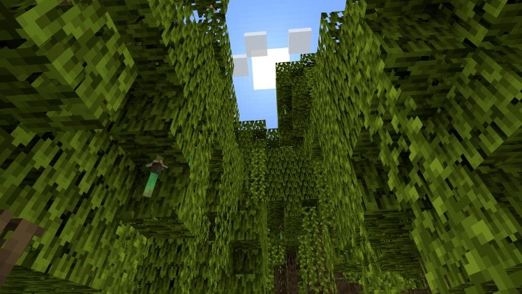 Mangrove Swamp with dense canopy and vines